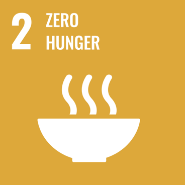 UN SDG -  Zero Hunger Block